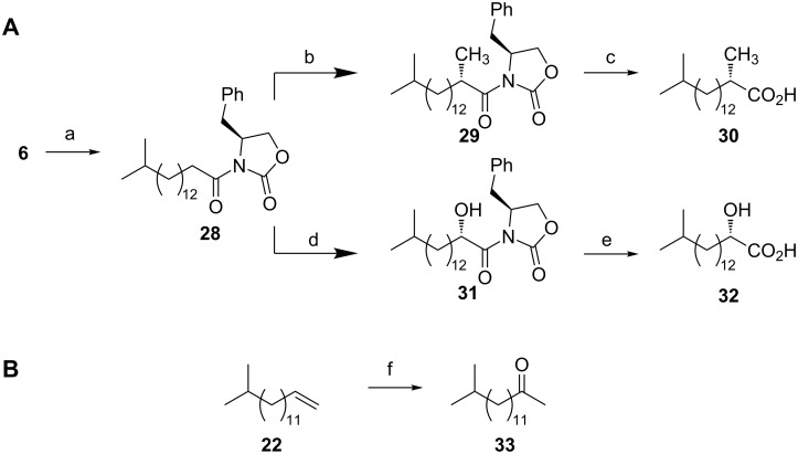 Scheme 4