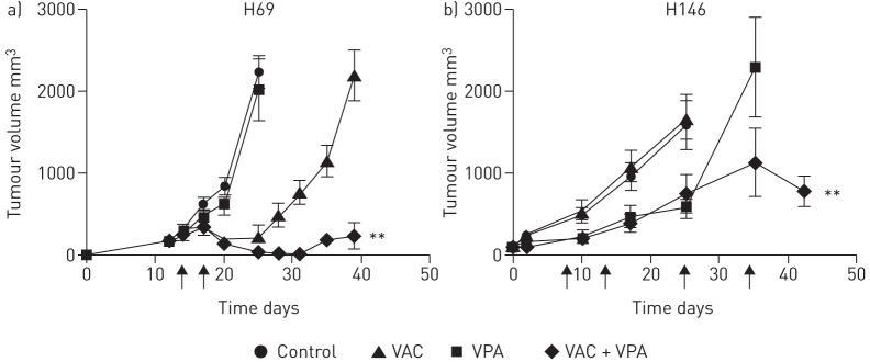 FIGURE 5