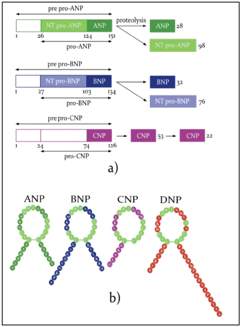 Fig. (1)