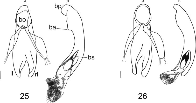 Figures 25–26.