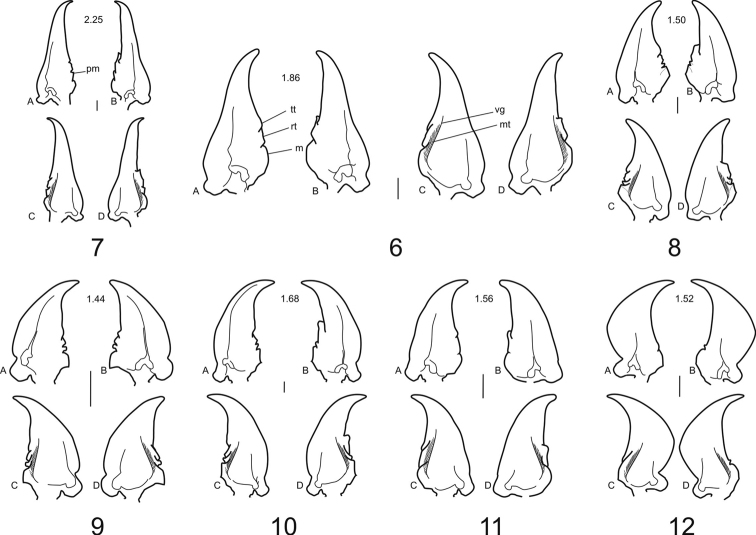 Figures 6–12.