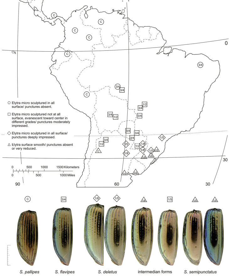 Figure 58.