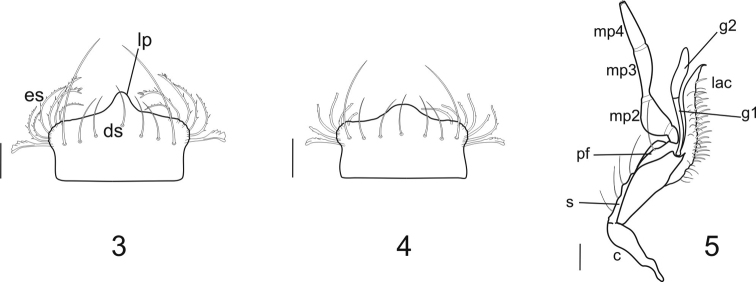 Figures 3–5.