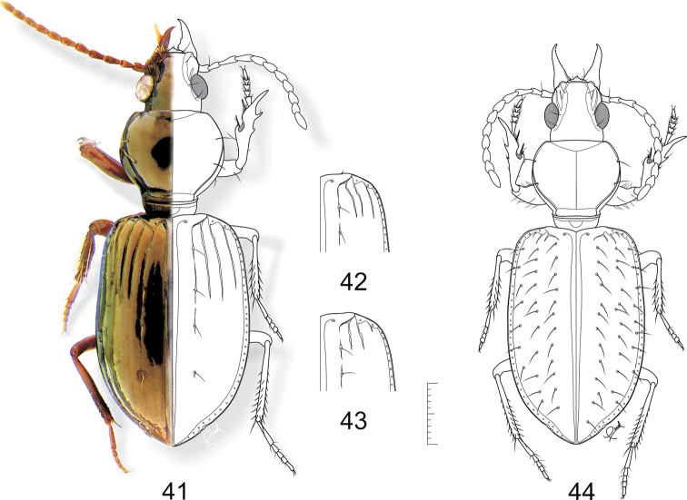 Figures 41–44.