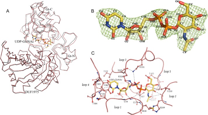 FIGURE 4.