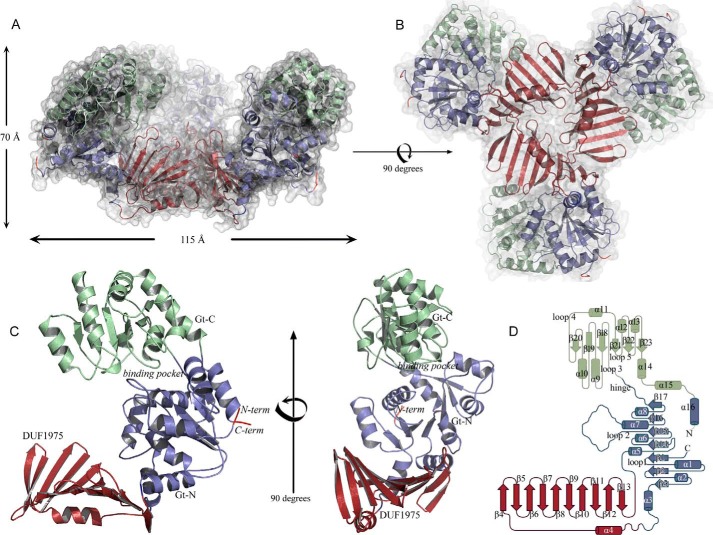 FIGURE 2.