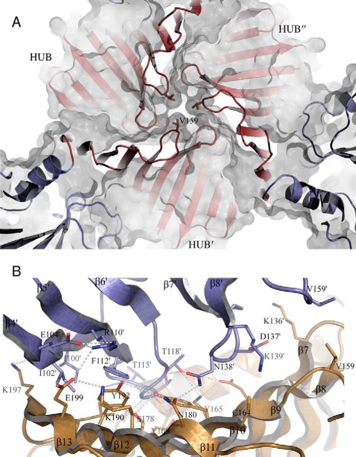 FIGURE 3.