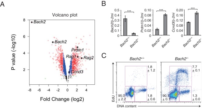 FIG 6