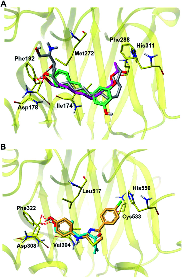 Fig. 8