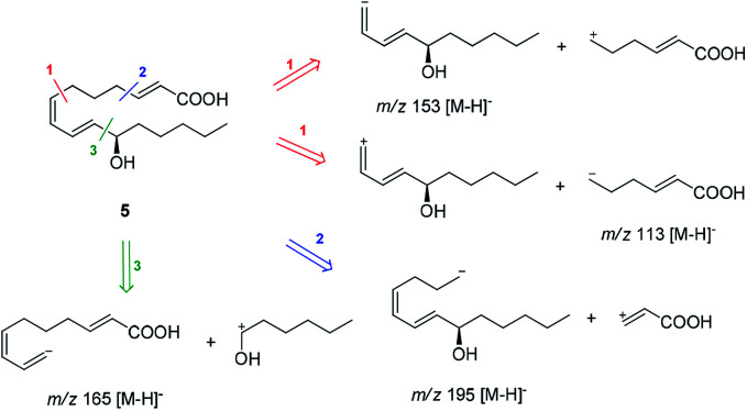 Fig. 4