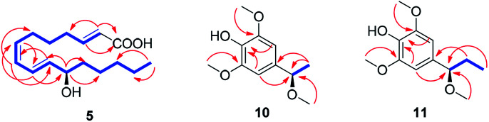 Fig. 5