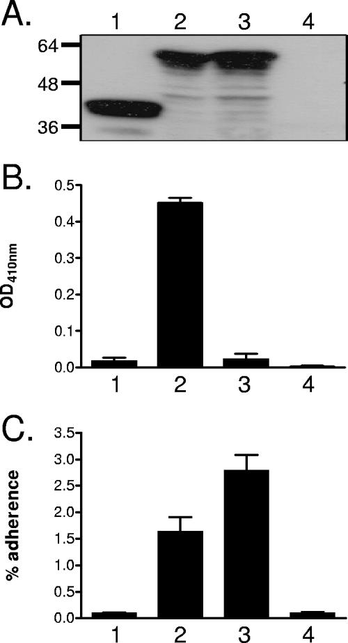 FIG. 5.