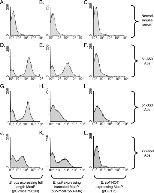 FIG. 6.