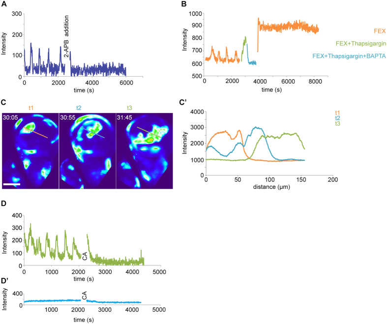 Figure 3