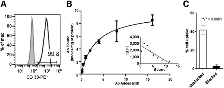 FIGURE 1.