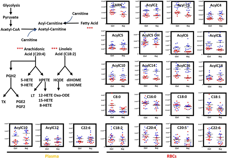 Figure 6–