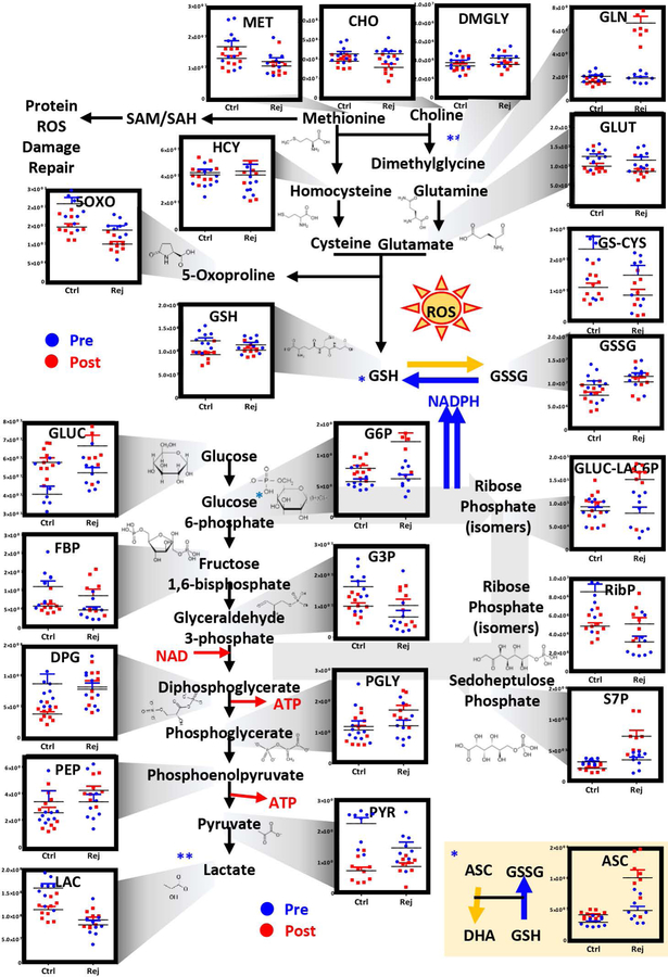 Figure 3–