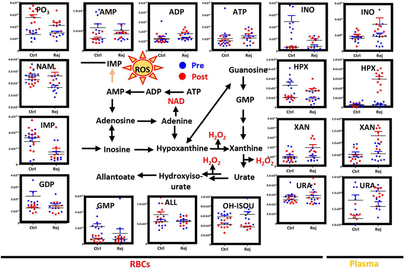 Figure 4–