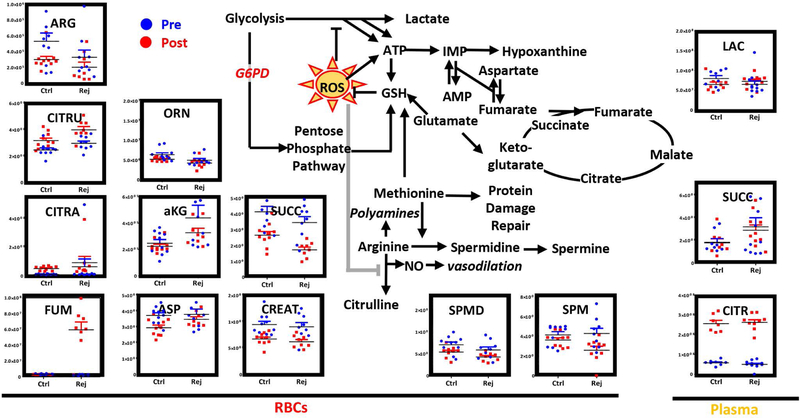 Figure 5–