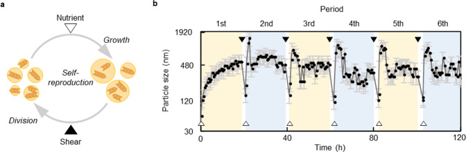 Fig. 5