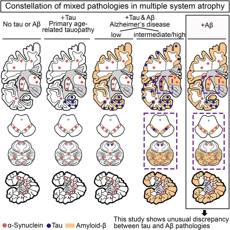 Graphical Abstract