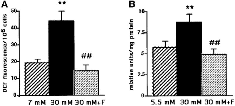 FIG. 5