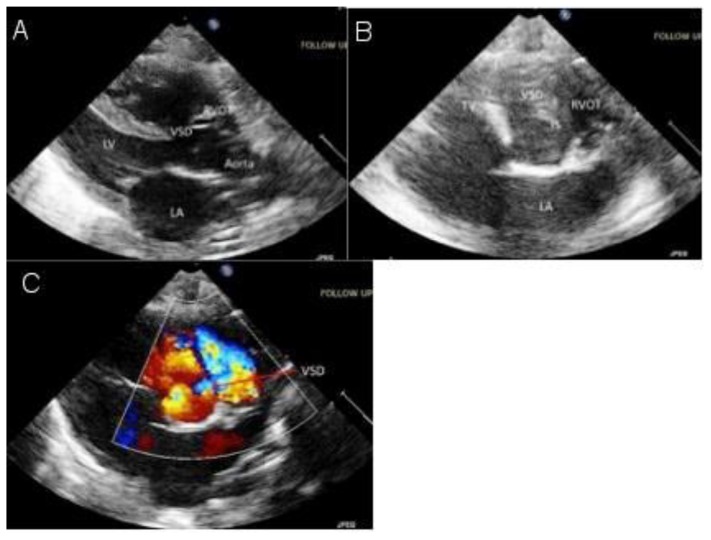 Figure 6