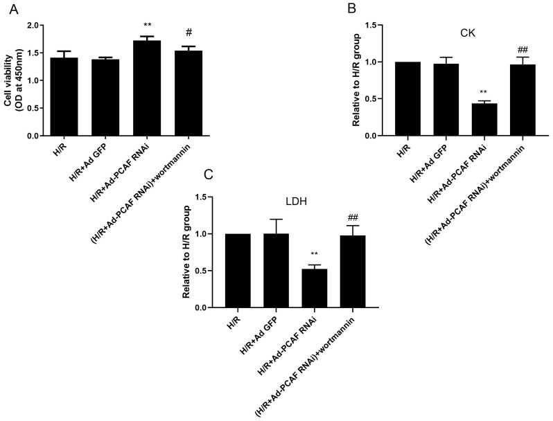 Fig 6