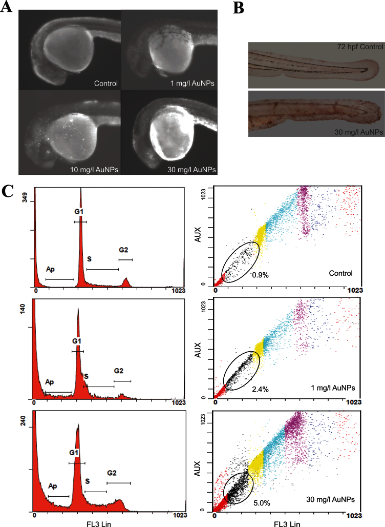 Fig. 3.