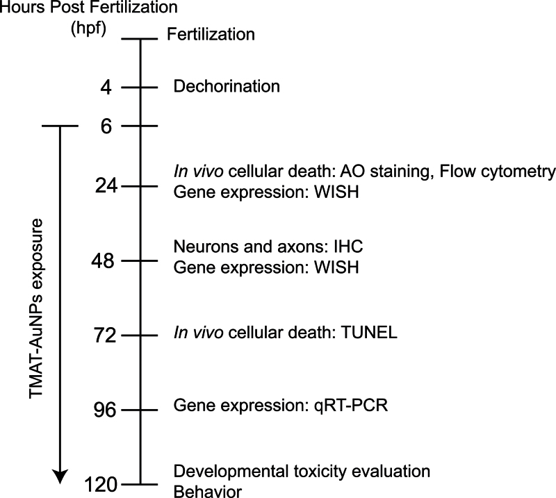 Fig. 8.