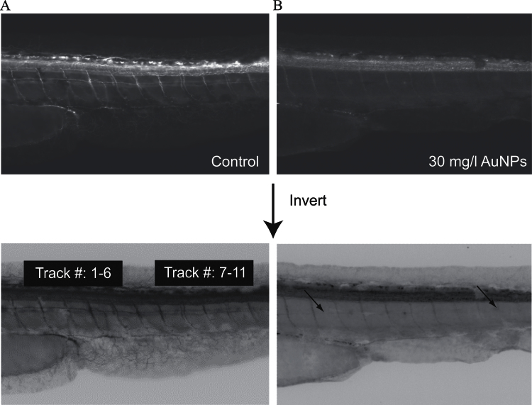 Fig. 7.