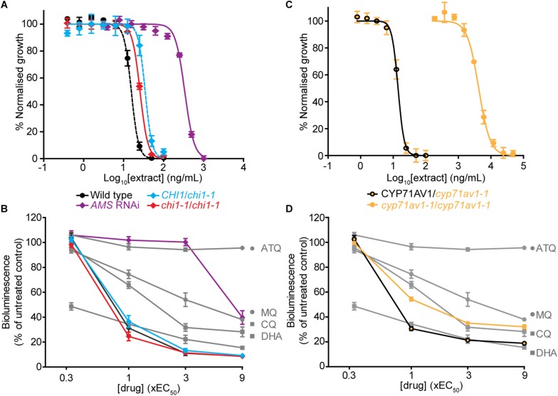 FIGURE 3