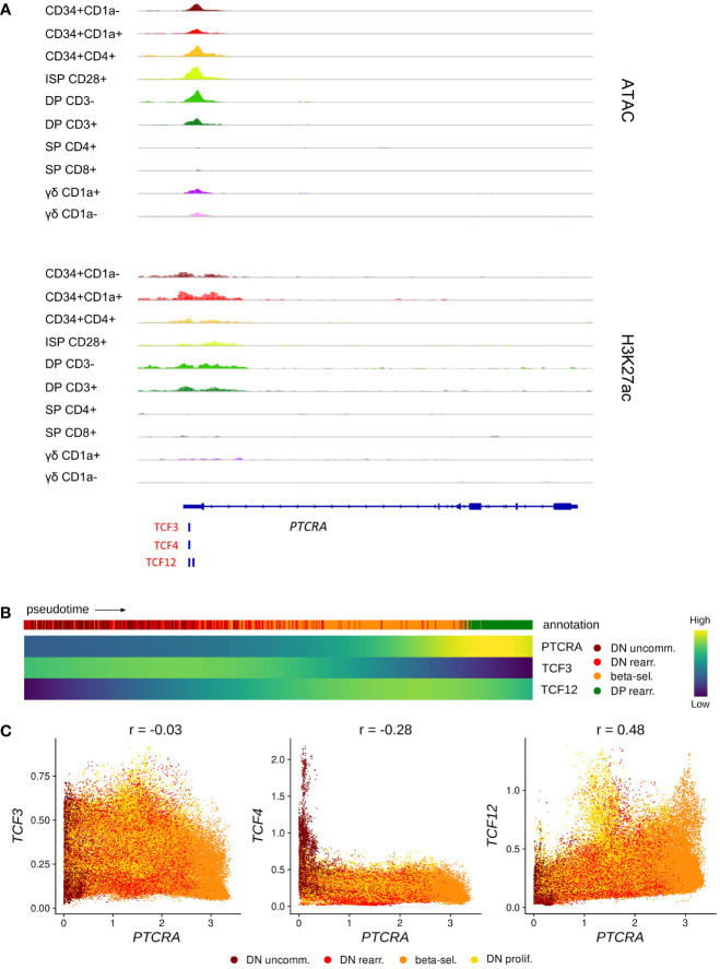 Figure 6