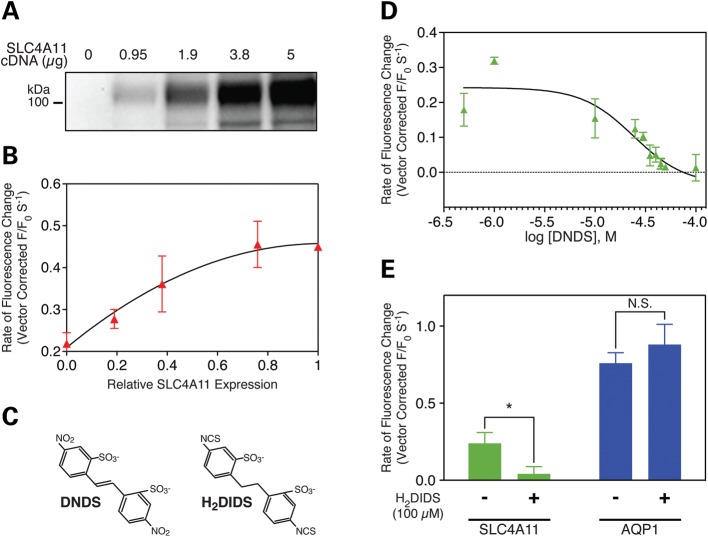 Figure 4.