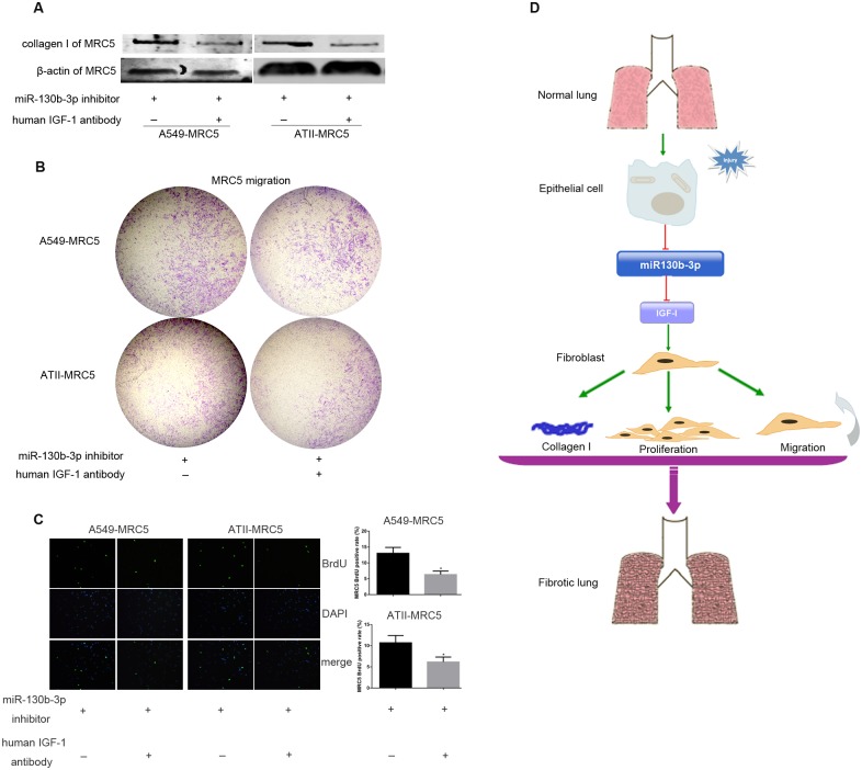 Fig 7