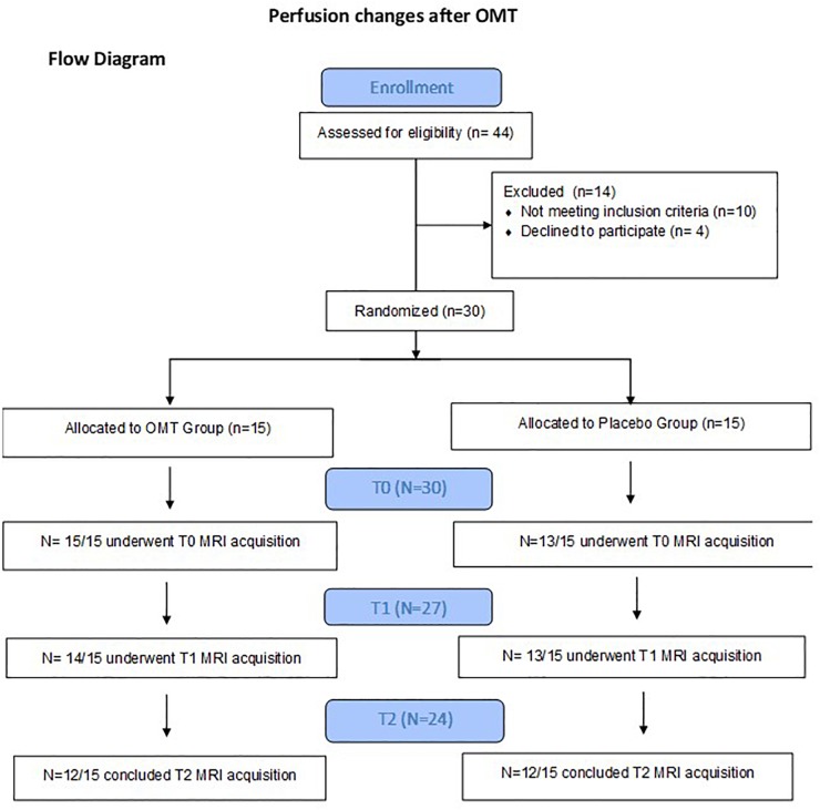 FIGURE 1