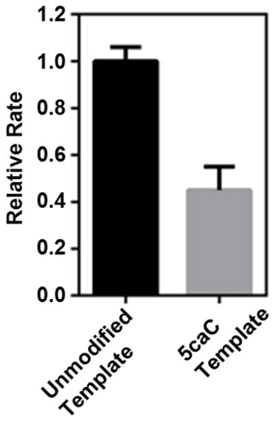 Extended Data Figure 6