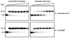 Extended Data Figure 7