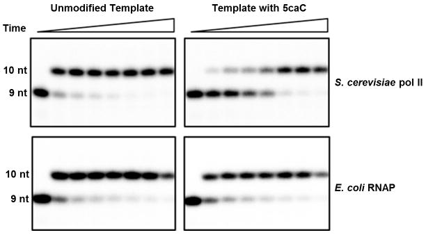 Extended Data Figure 7