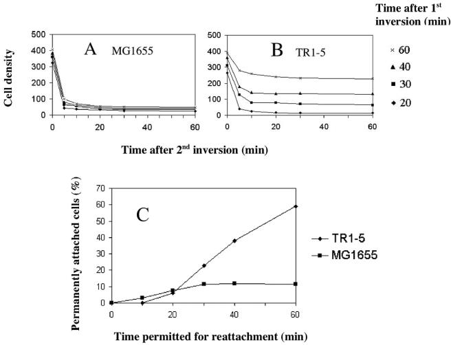 FIG. 3.