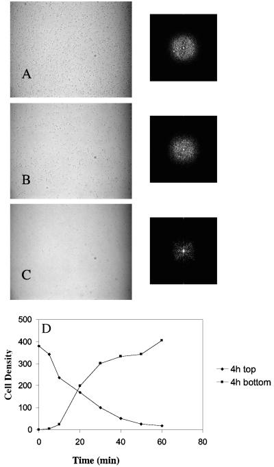 FIG. 8.