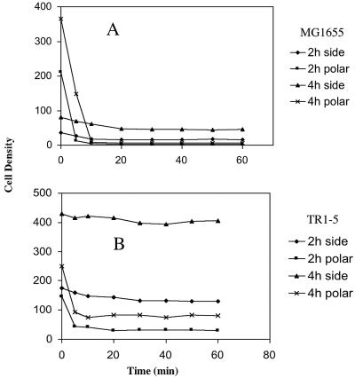 FIG. 5.