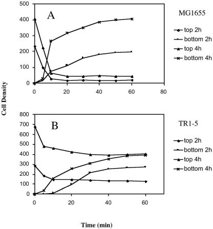 FIG. 2.