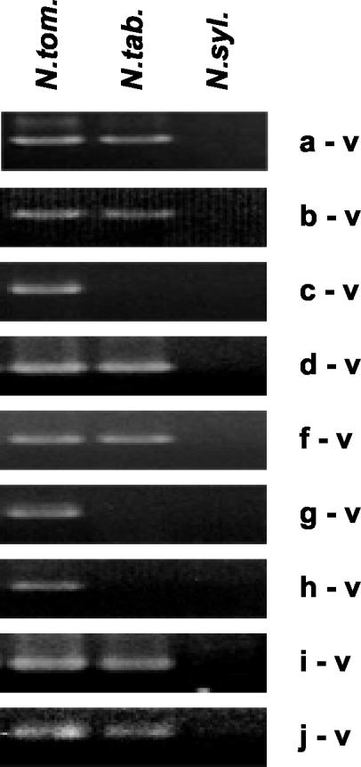 Figure 5.