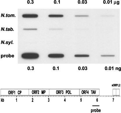 Figure 4.