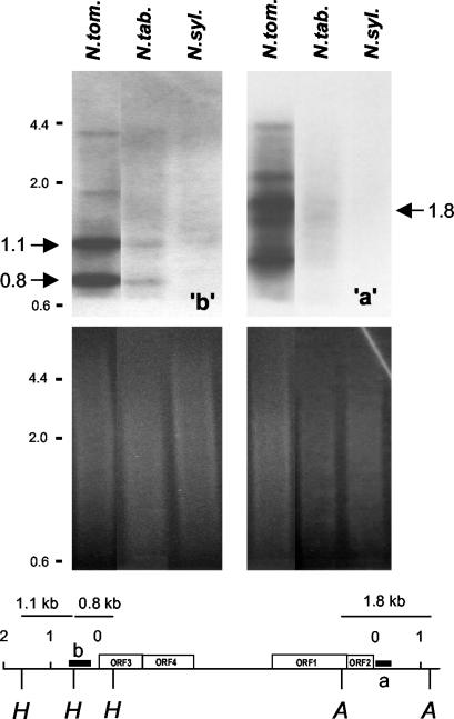 Figure 6.