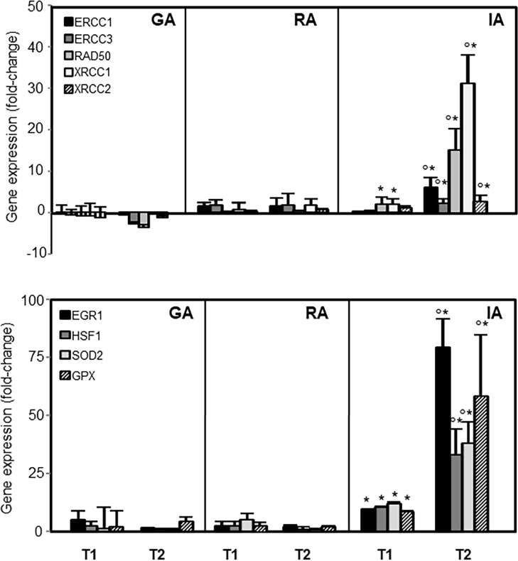 Fig 6