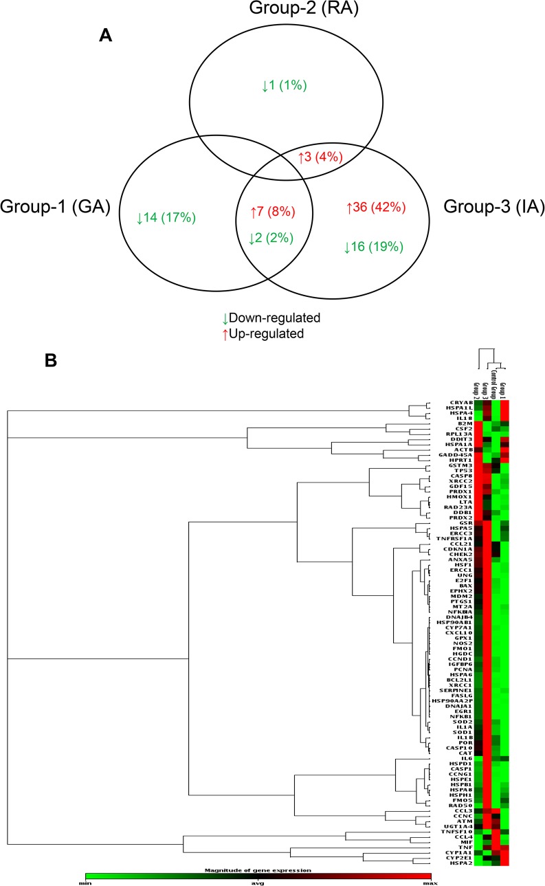 Fig 5