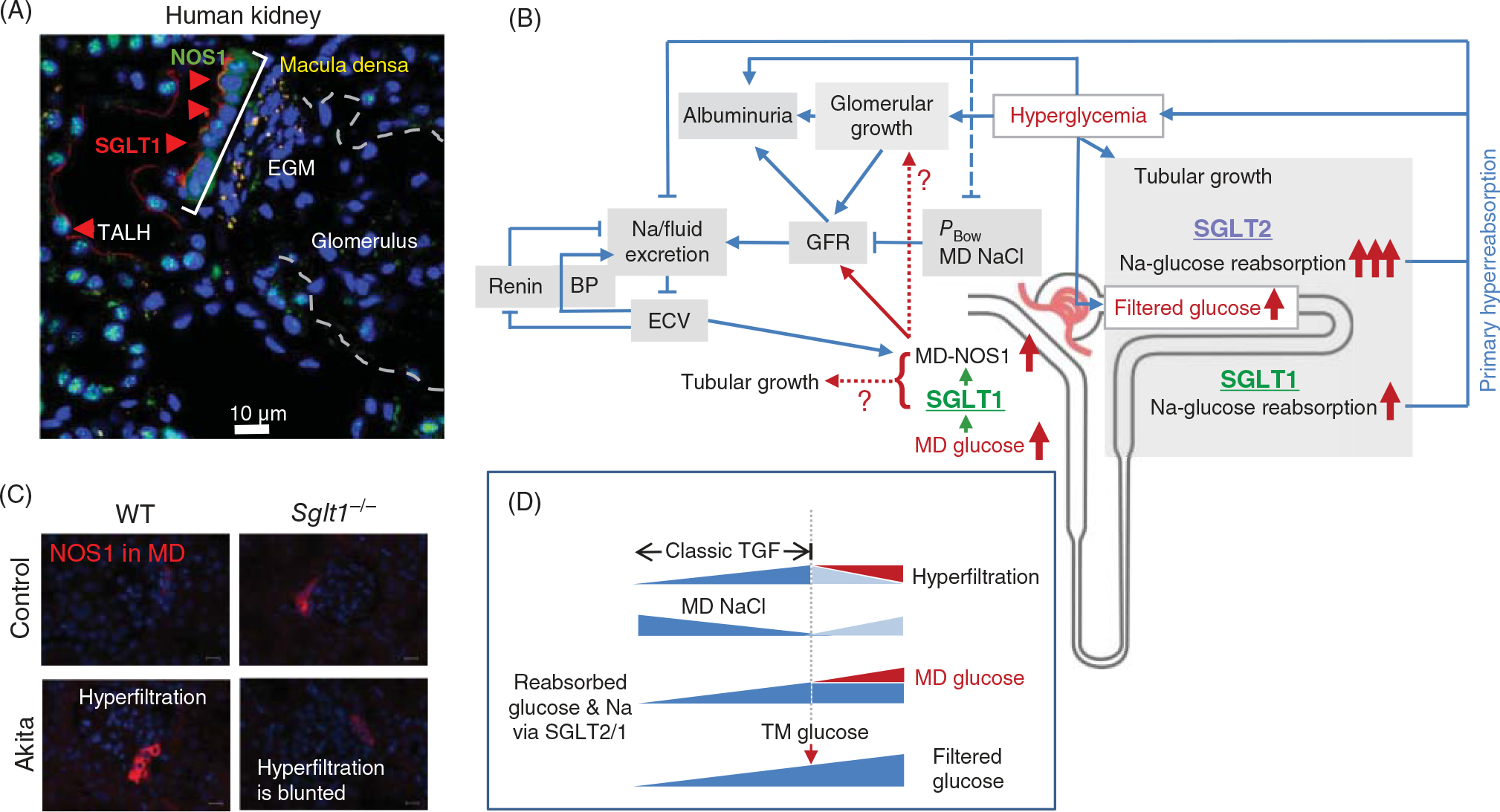 Figure 16