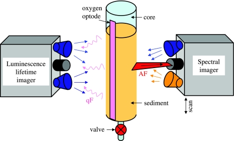 FIG. 2.